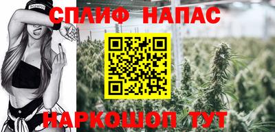 тгк Беслан