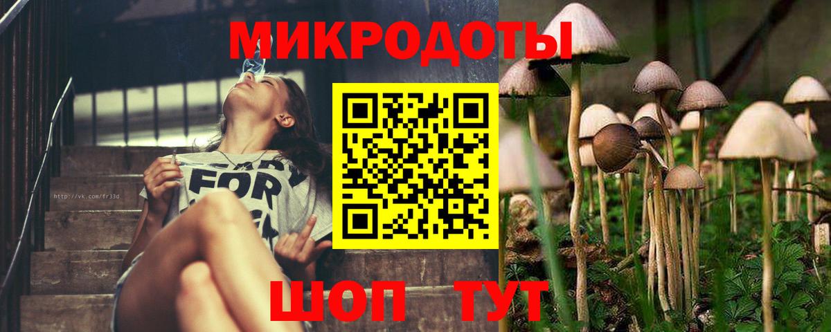 Карпинск  Галлюциногенные грибы MAGIC MUSHROOMS  Вход с VPN 